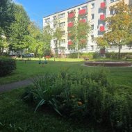 Mieszkanie na wynajem